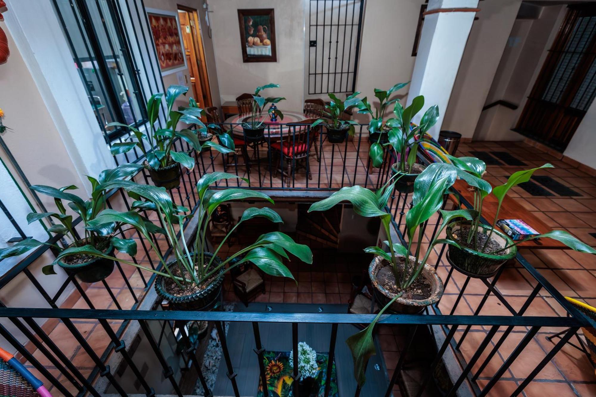 Hotel Rosa Mexicano Oaxaca Exterior foto